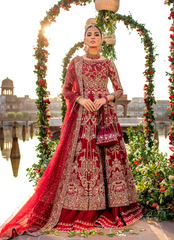 16 Royal Scarlet Bridal Kalidaar
