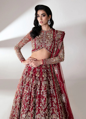 19 Deep Red Bridal Lehenga with Intricate Silver Embroidery