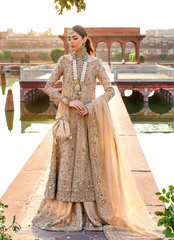 16 Golden Glow Bridal Kalidaar