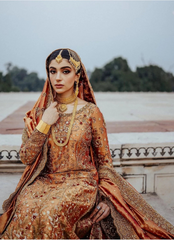 18 Rust Orange Bridal Dress with Golden Embellished Dupatta