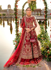 16 Royal Scarlet Bridal Kalidaar