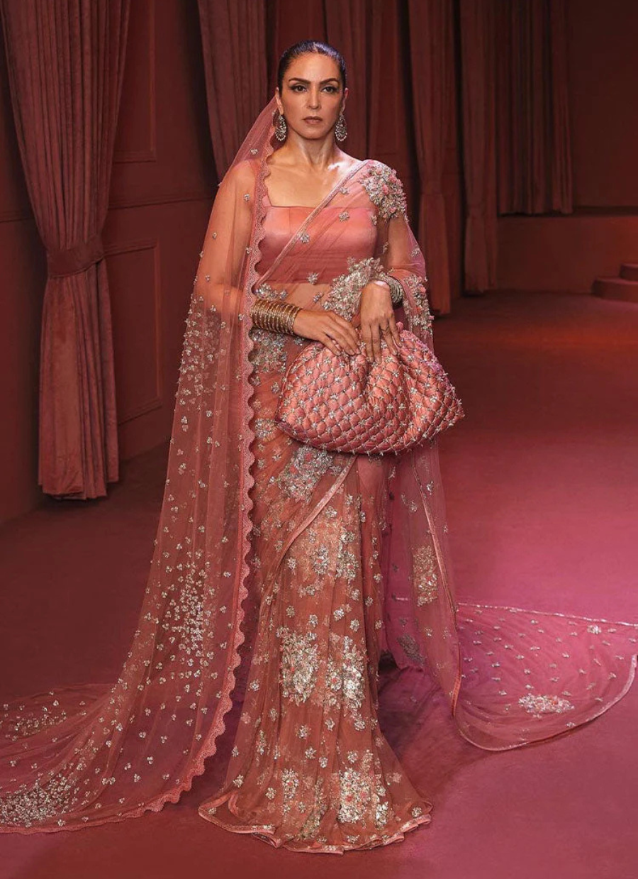 19 Rose Gold Embellished Net Saree