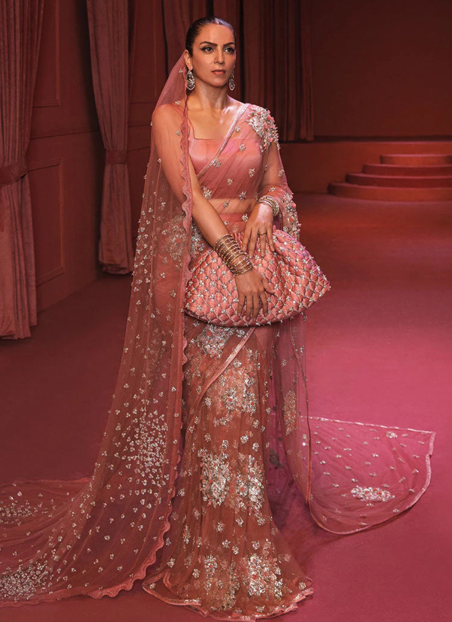 19 Rose Gold Embellished Net Saree