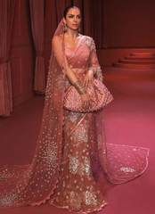 19 Rose Gold Embellished Net Saree