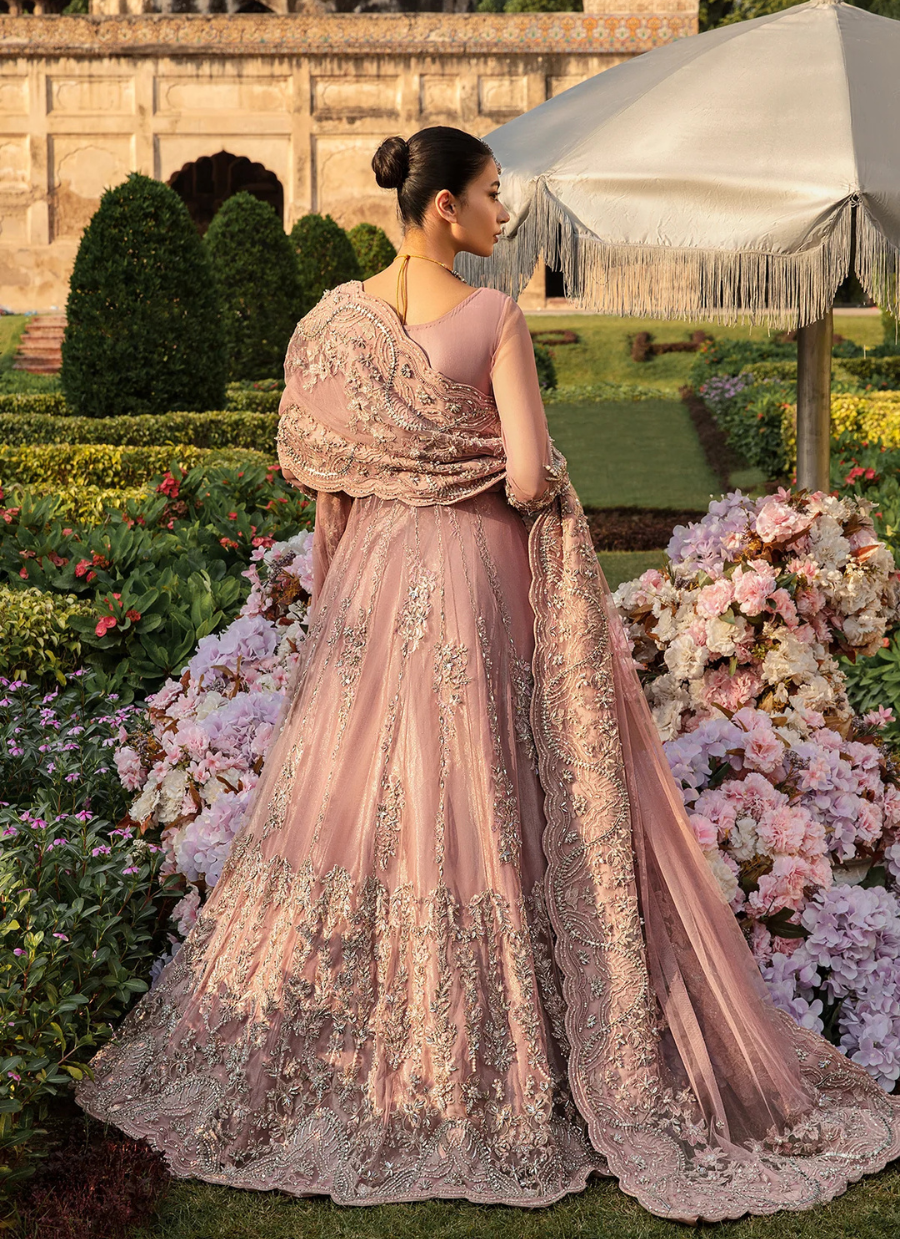 16 Blush Rose Embellished Bridal Kalidaar