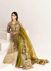 16 Olive Green Embroidered Long Dress with Sheer Dupatta