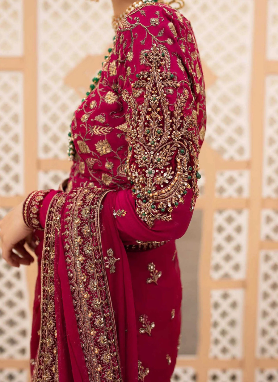 19 Embellished Red Bridal Saree