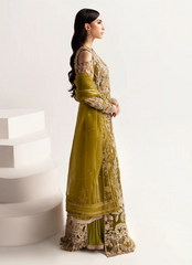 16 Olive Green Embroidered Long Dress with Sheer Dupatta