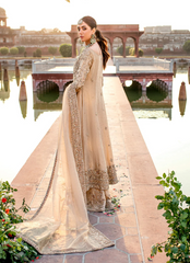 16 Golden Glow Bridal Kalidaar