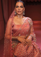 19 Rose Gold Embellished Net Saree