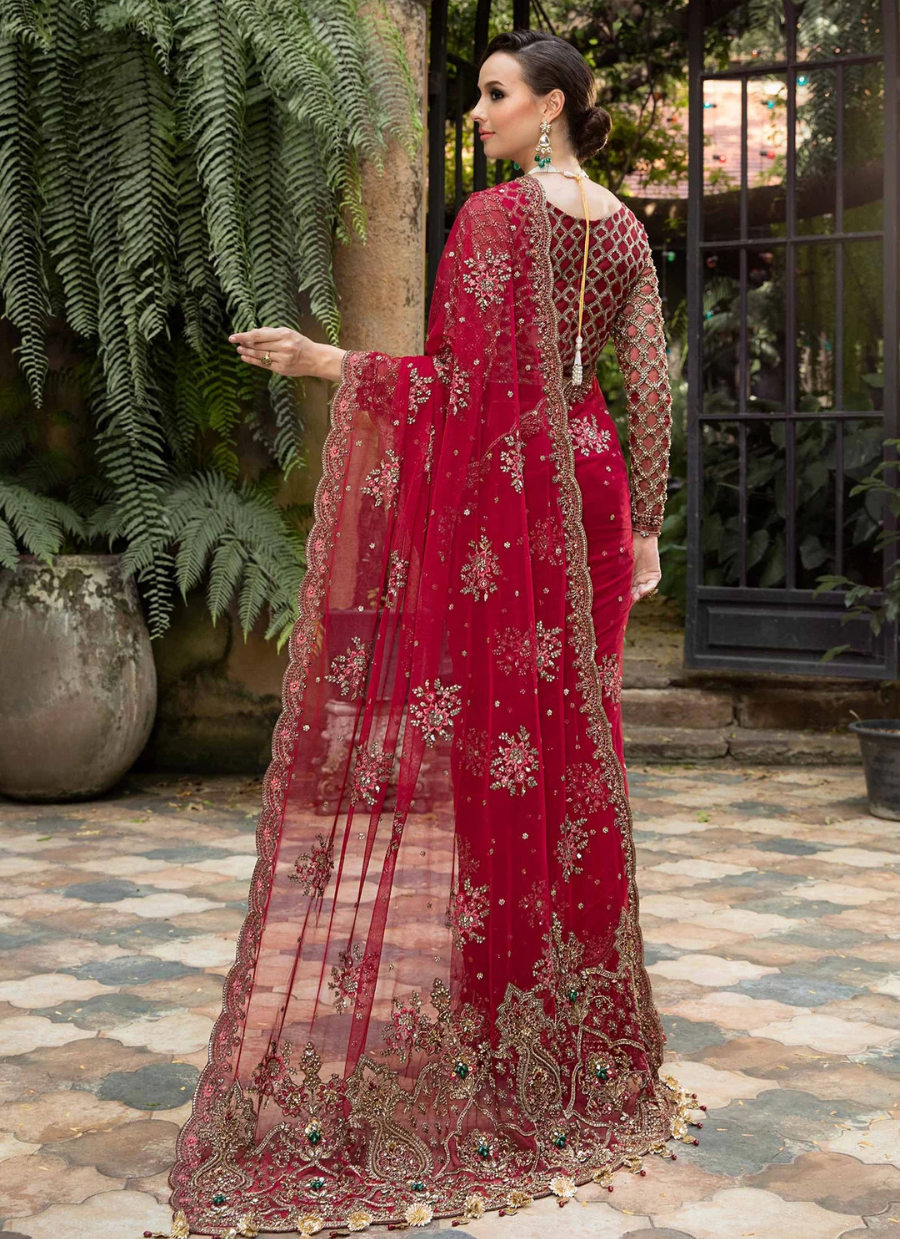 19 Red Net Embroidered Bridal Saree