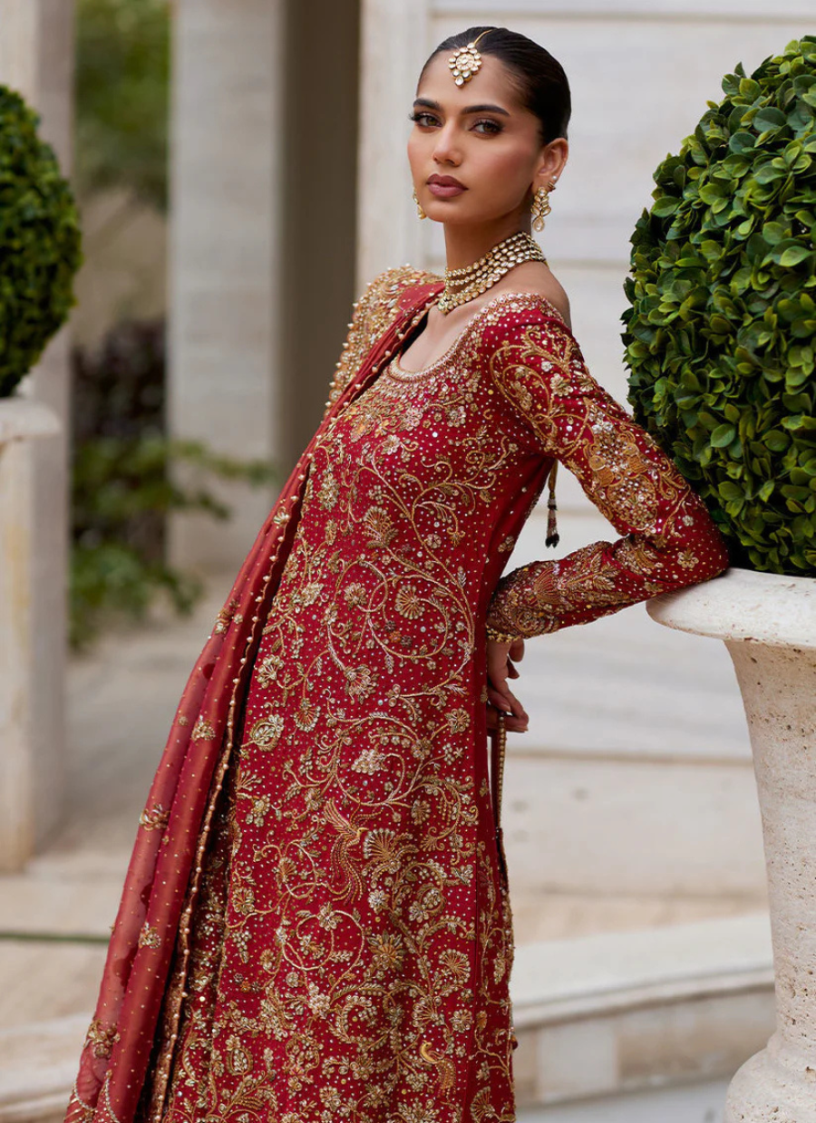 Majestic Crimson Bridal – Cotton Net Shirt with Handworked Jaal & Gharara