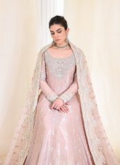 16 Blush Pink Kalidaar Bridal Ensemble with Intricate Embellishments
